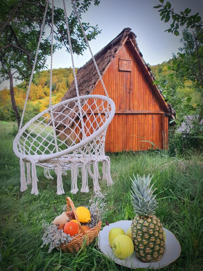 Etno Domacinstvo Saponjic Hotel Nova Varos Bagian luar foto
