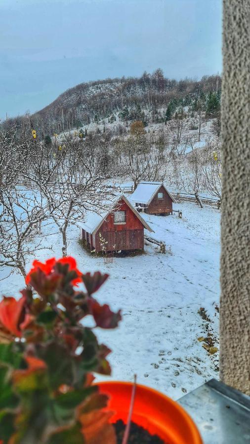 Etno Domacinstvo Saponjic Hotel Nova Varos Bagian luar foto