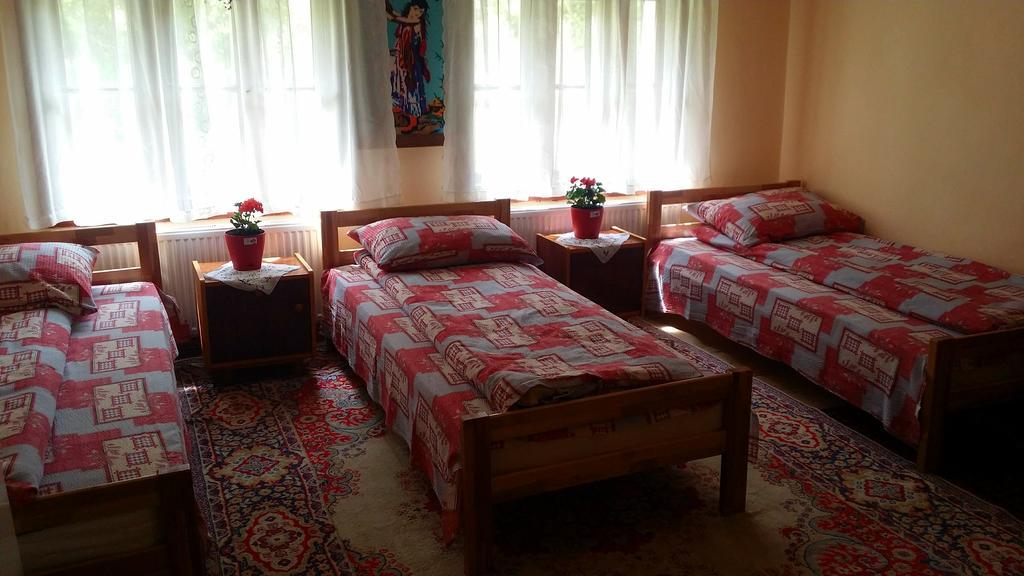 Etno Domacinstvo Saponjic Hotel Nova Varos Bagian luar foto