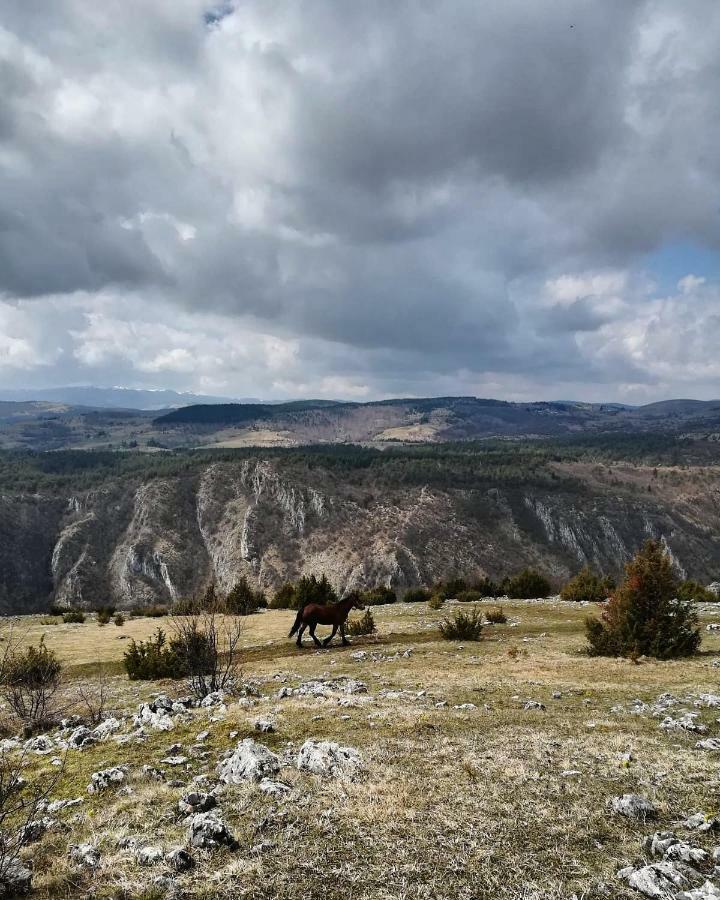 Etno Domacinstvo Saponjic Hotel Nova Varos Bagian luar foto