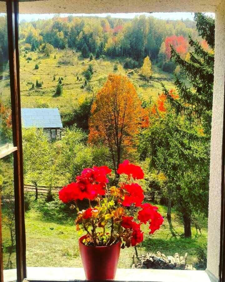 Etno Domacinstvo Saponjic Hotel Nova Varos Bagian luar foto